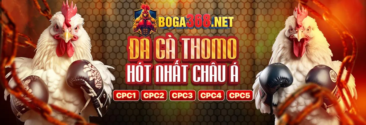 Đá gà trực tuyến kịch tính tại win69 bet