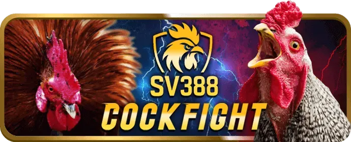 An toàn và hỗ trợ tại win69 bet